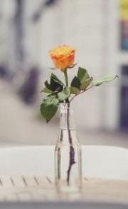 الصورة الرمزية الماسه